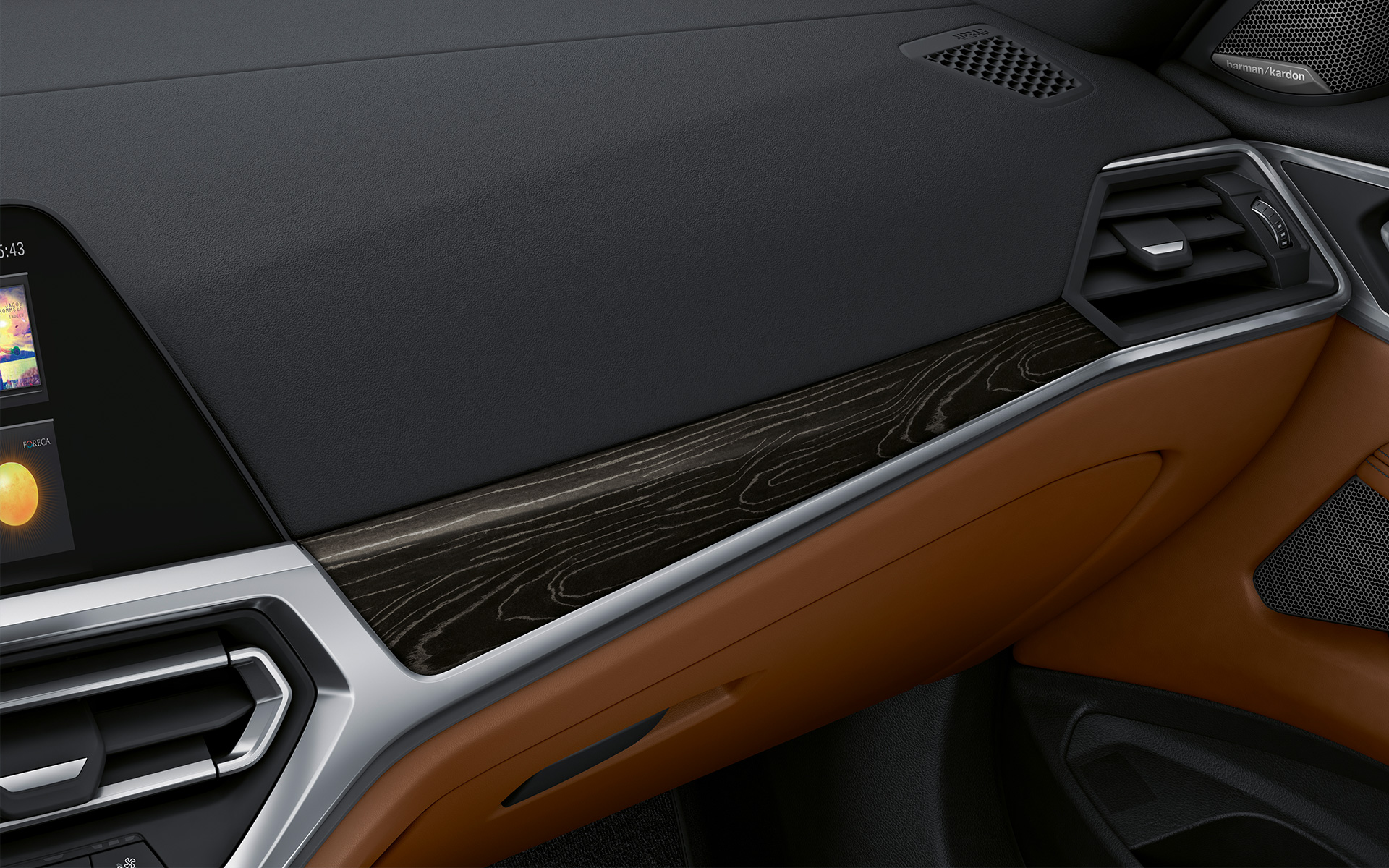 BMW Individual trim finishers fine-wood trim 'Fineline' Black with silver effect close-up